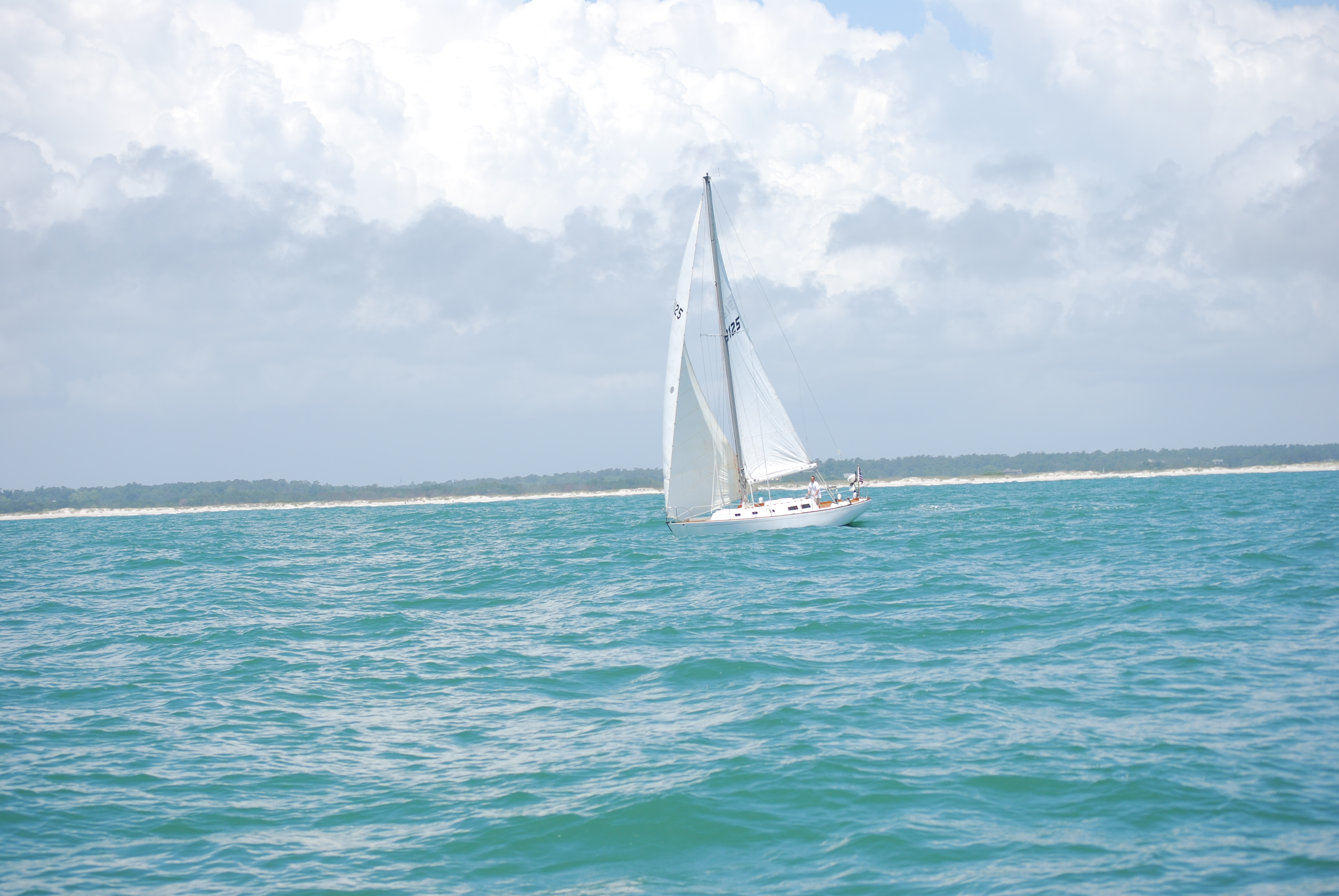 DSC_0284.JPG
